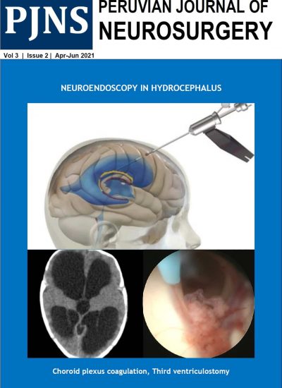 Peruvian Journal of Neurosurgery
