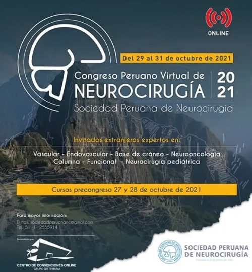 APNE Peruvian Association of Neuroendoscopy